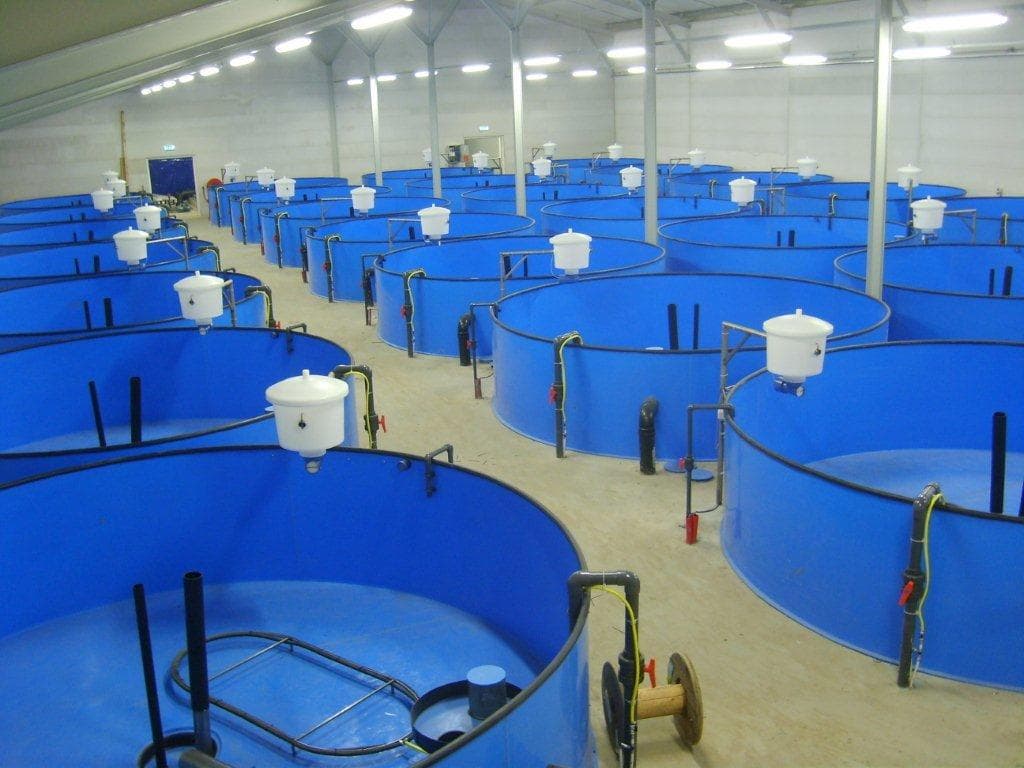 Современная УЗВ: что это такое?