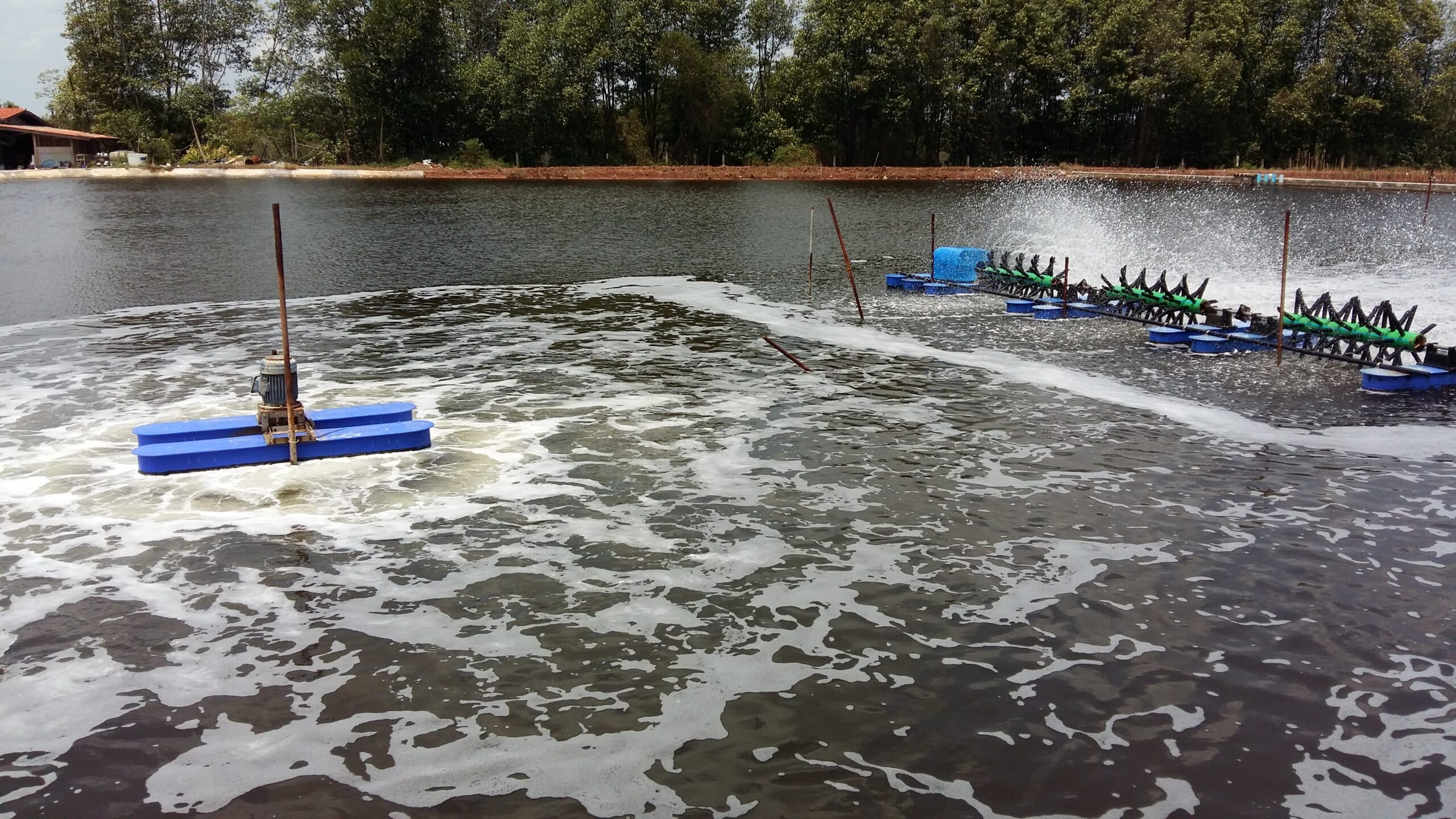Креветочные фермы в Таиланде