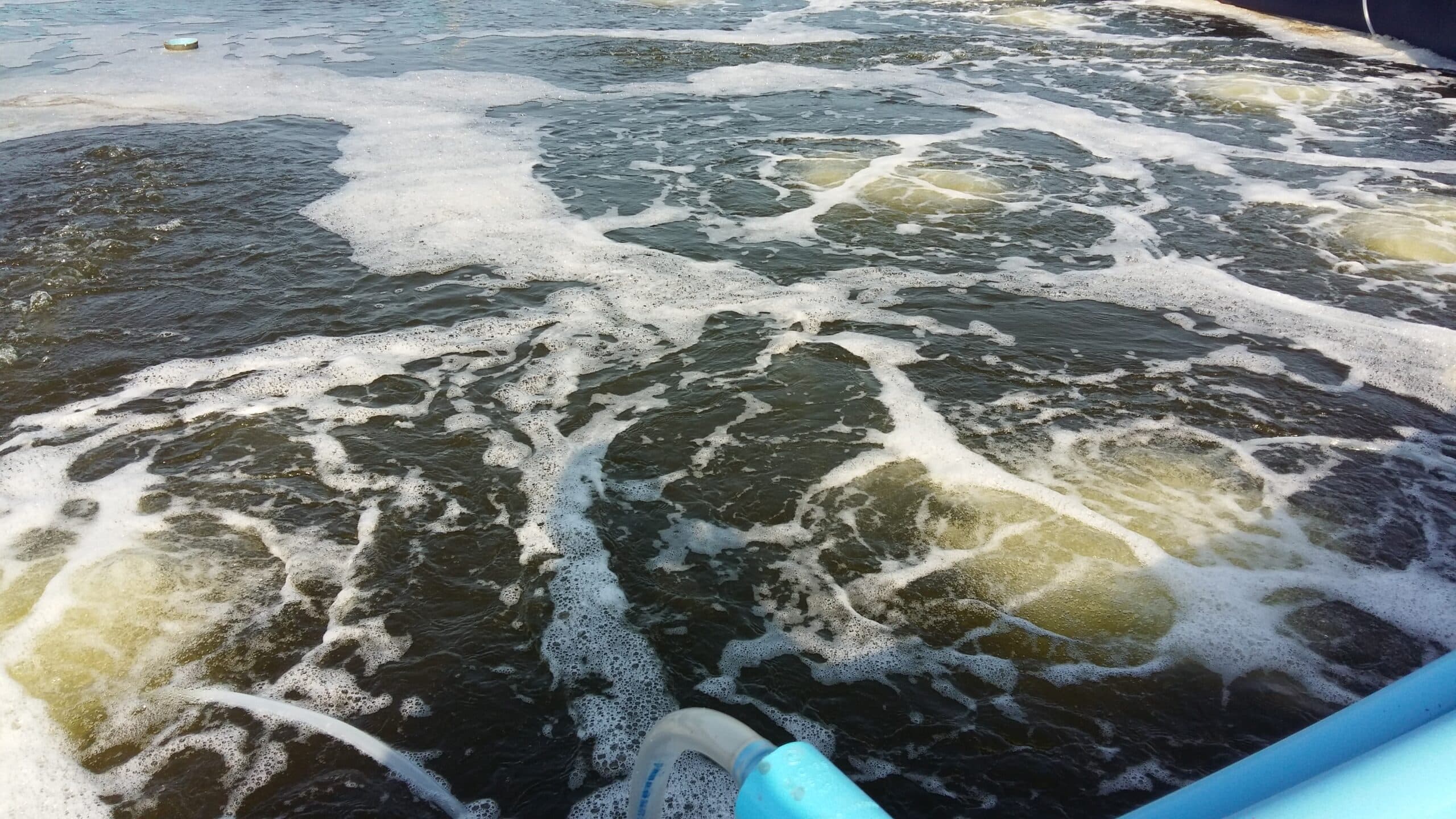 Правильна циркуляція води в рибницьких ставках