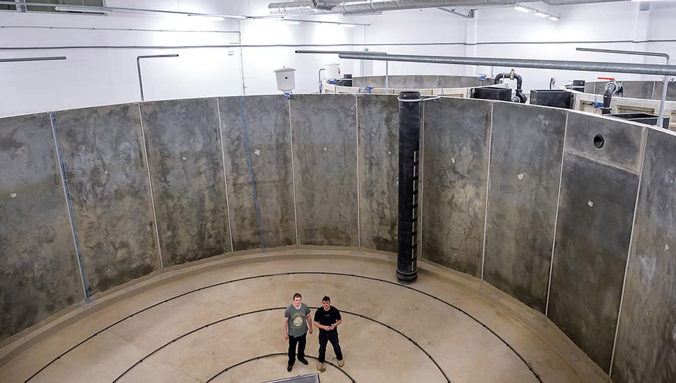 Міхал Ковальский, заступник директора по вирощуванню, та Ярослав Чиж, рибовод-технолог, стоять в центрі рибоводної ємності